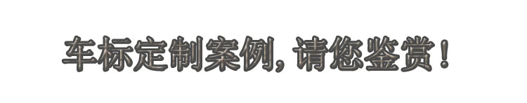 車標(biāo)定制案例.jpg