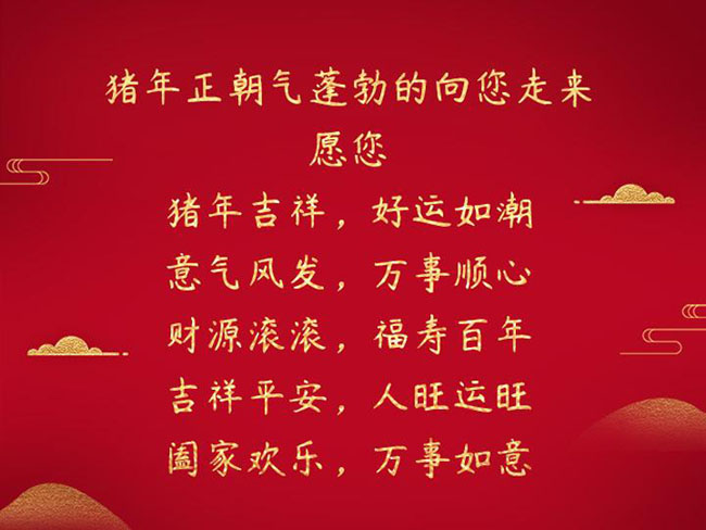 豬年正朝氣蓬勃的向您走來(lái).jpg